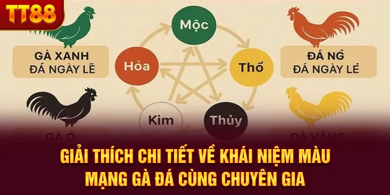Giải thích chi tiết về khái niệm màu mạng gà đá cùng chuyên gia